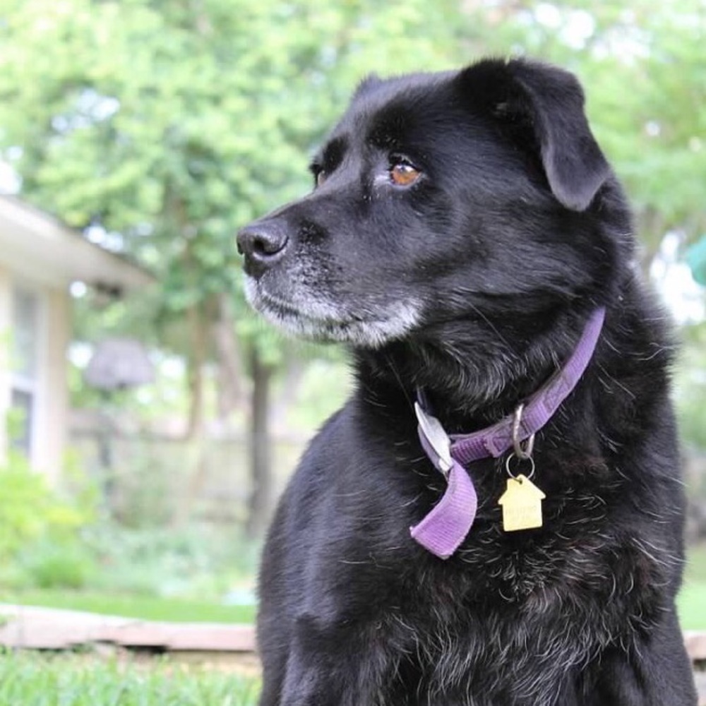 Meet your Posher, Joshua